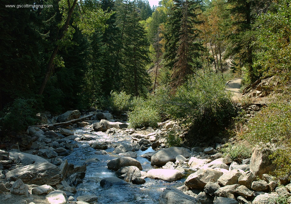 (19) Dscf4417.jpg   (1000x701)   521 Kb                                    Click to display next picture