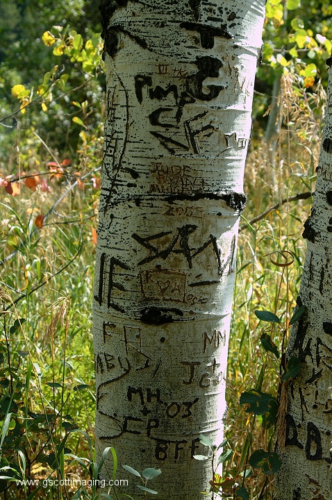 (21) Dscf4424.jpg   (478x720)   257 Kb                                    Click to display next picture