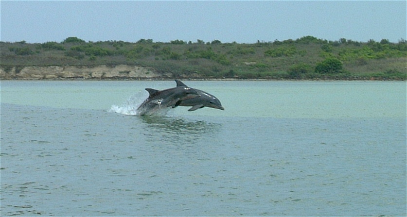 (40) Dscf0409.jpg   (837x447)   120 Kb                                    Click to display next picture