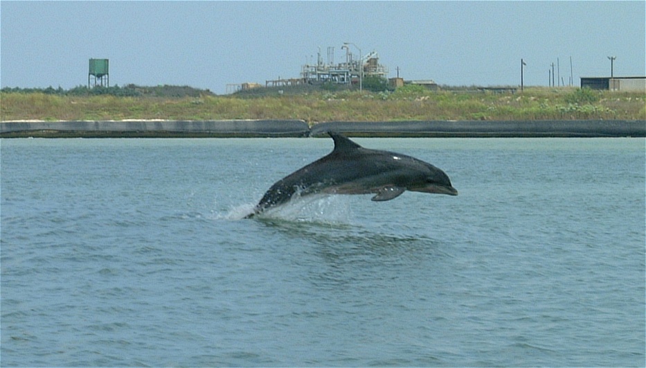 (41) Dscf0412.jpg   (933x531)   164 Kb                                    Click to display next picture