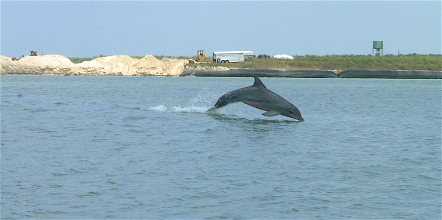 (43) Dscf0411.jpg   (891x444)   133 Kb                                    Click to display next picture