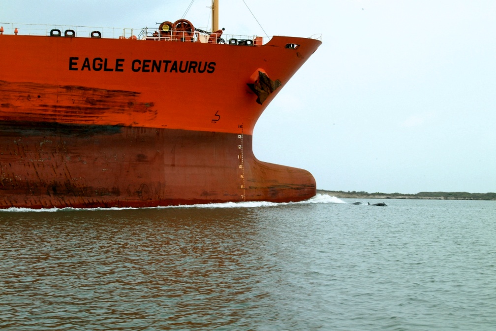 (52) Dscf0105.jpg   (1008x672)   223 Kb                                    Click to display next picture