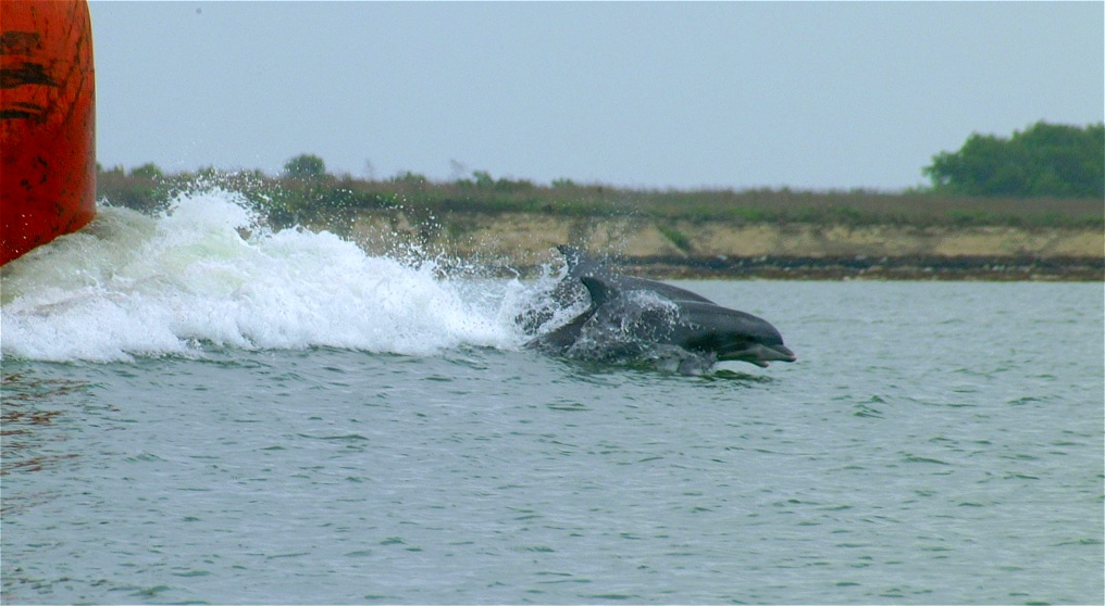 (54) Dscf0103.jpg   (1016x558)   182 Kb                                    Click to display next picture