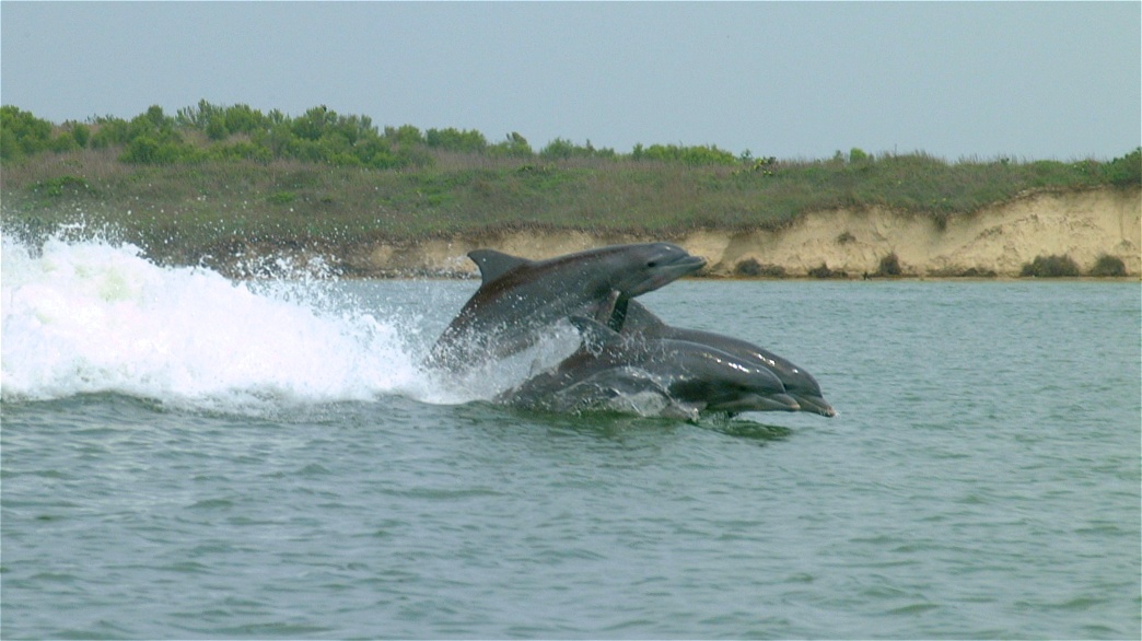 (62) Dscf0128.jpg   (1044x586)   190 Kb                                    Click to display next picture