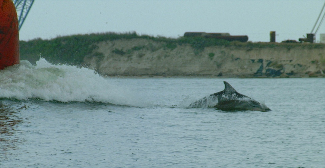 (70) Dscf0156.jpg   (1058x548)   168 Kb                                    Click to display next picture