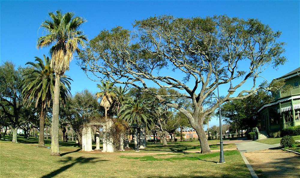 (05) Dscf9160.jpg   (1000x594)   263 Kb                                    Click to display next picture