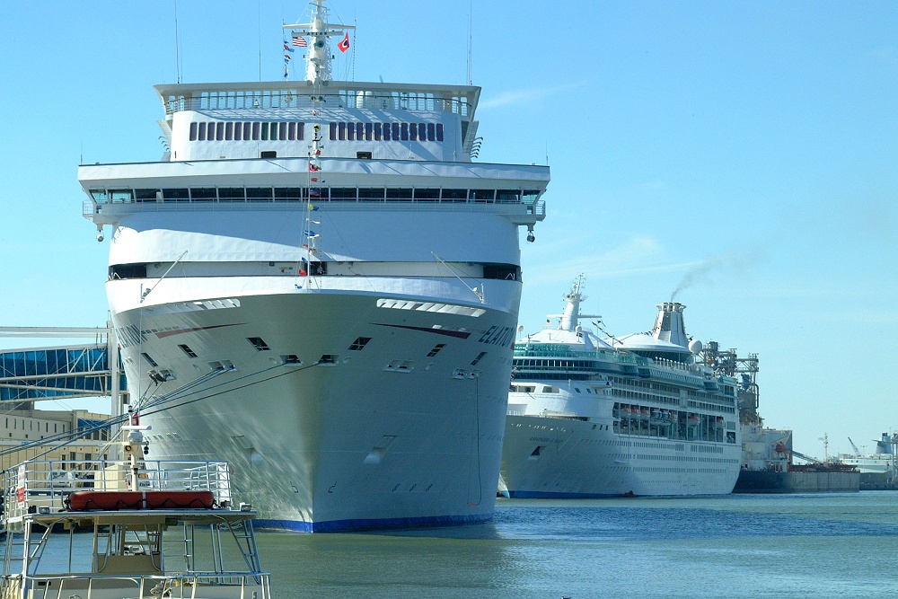 (54) Dscf1942.jpg   (1000x667)   269 Kb                                    Click to display next picture