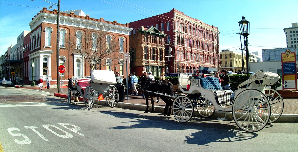 (63) Dscf1959.jpg   (1000x509)   314 Kb                                    Click to display next picture