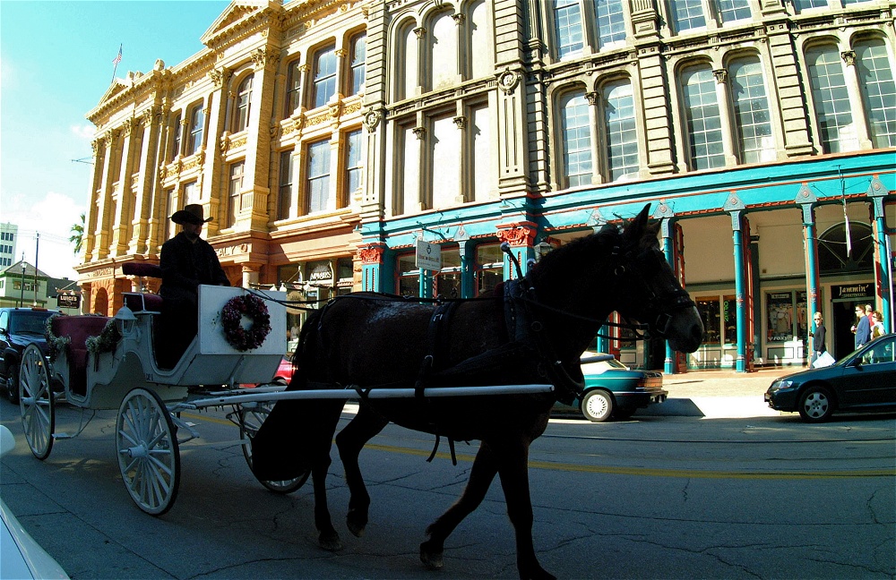 (66) Dscf1963.jpg   (1000x648)   359 Kb                                    Click to display next picture