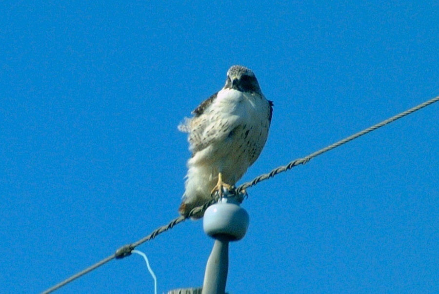 (04) Dscf9090.jpg   (900x603)   177 Kb                                    Click to display next picture