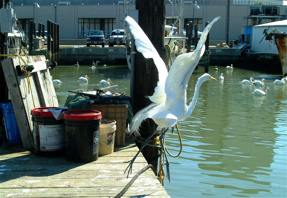 (67) Dscf1928.jpg   (1000x691)   325 Kb                                    Click to display next picture