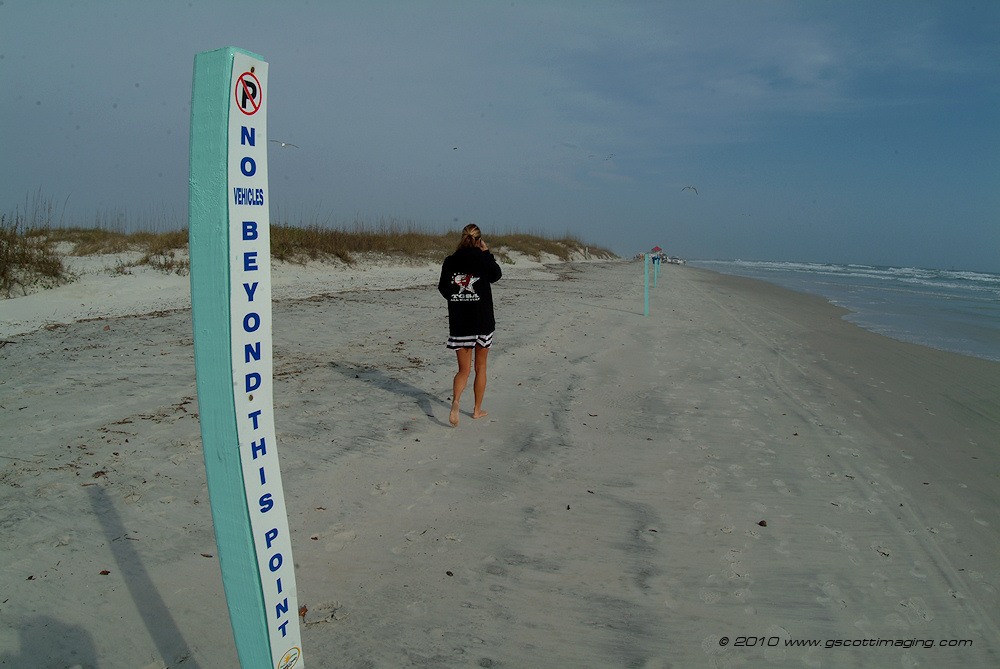 nsbfla031.jpg   (1000x669)   273 Kb                                    Click to display next picture