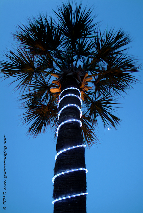 nsbfla068.jpg   (482x720)   239 Kb                                    Click to display next picture